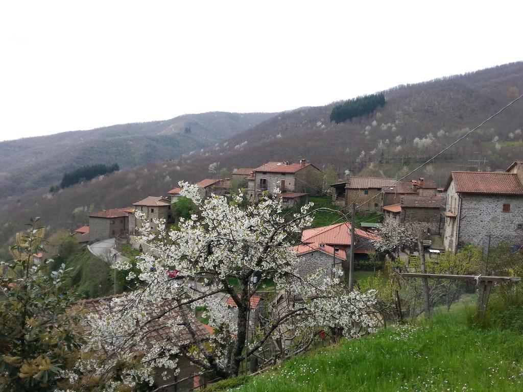 Il Borgo Dei Corsi - Charming Holiday Apartments Ortignano Raggiolo Kültér fotó